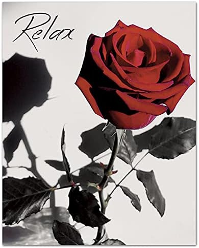 NOROUOV Modern Piros Rózsa a Virágok a Szürke Könyvek Wall Art Festmények sor 4 (8X10 Vászon Kép) Nyugi, Lélegezz Mossa Lazítson